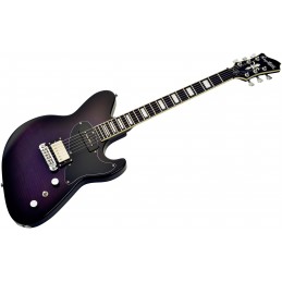 HAGSTROM ADINA PRB