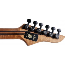 MOOER GTRS M810 NATURAL BURST