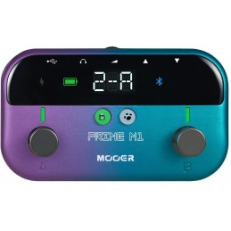 MOOER PRIME M1