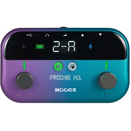 MOOER PRIME M1