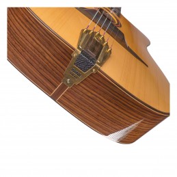 JOSE TORRES JTG-11-0