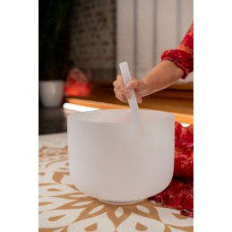 SONIC ENERGY CSBM12A3