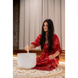 SONIC ENERGY CSBM12A3