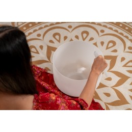 SONIC ENERGY CSBM12B3