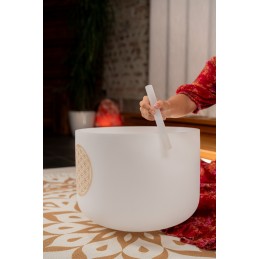 SONIC ENERGY PCSB16FOL