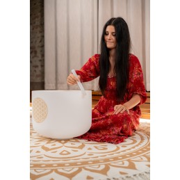 SONIC ENERGY PCSB16FOL