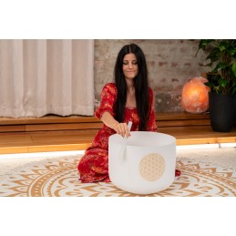 SONIC ENERGY PCSB16FOL