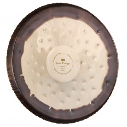 SONIC ENERGY SGFOL22