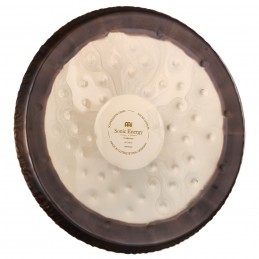 SONIC ENERGY SGSOLS22