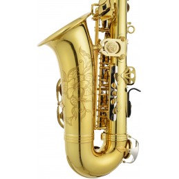 JUPITER ITALIA STELLAR JASSTRQ