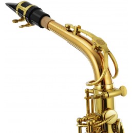 JUPITER ITALIA STELLAR JASSTRQ