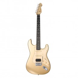 MOOER MSC10 ELITE GOLD