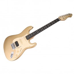 MOOER MSC10 ELITE GOLD