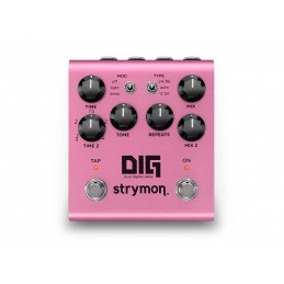 STRYMON DIG 2FSR