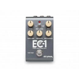 STRYMON EC-1 - SINGLE HEAD D