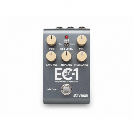 STRYMON EC-1 - SINGLE HEAD D