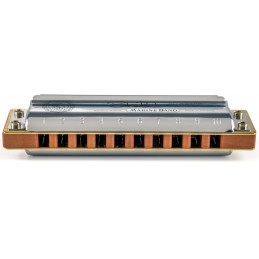 HOHNER STEVE BAKER SIGNATURE D-NATURAL MINOR