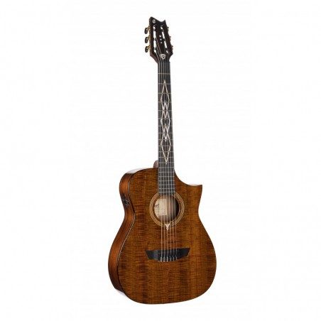 CORT FRANK GAMBALE LUXE NYLON BR W/CASE