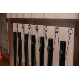 SONIC ENERGY SBTSETCHA