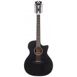 D'ANGELICO PREMIER FULTON LS MATTE BLACK
