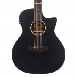 D'ANGELICO PREMIER FULTON LS MATTE BLACK