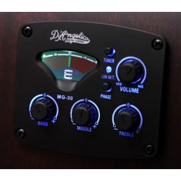 D'ANGELICO PREMIER FULTON LS MATTE BLACK