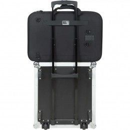 WALKASSE Custodia antiurto in Eva per NI® TRAKTOR KONTROL S4MK3/S3 e Pioneer® DDJ-SR2