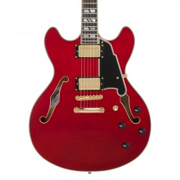 D'ANGELICO EXCEL DC TRANS CHERRY 2025