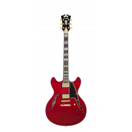 D'ANGELICO EXCEL DC TRANS CHERRY 2025