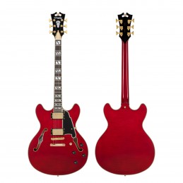 D'ANGELICO EXCEL DC TRANS CHERRY 2025