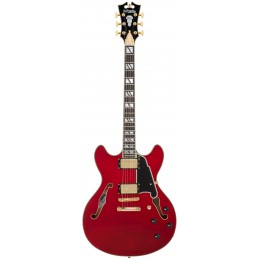 D'ANGELICO EXCEL DC TRANS CHERRY 2025