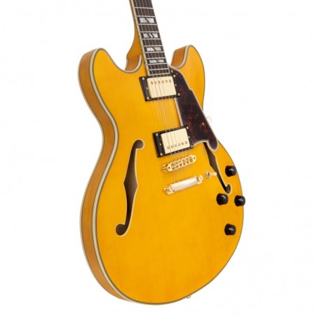 D'ANGELICO EXCEL DC AMBER