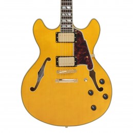 D'ANGELICO EXCEL DC AMBER