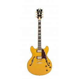 D'ANGELICO EXCEL DC AMBER