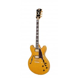 D'ANGELICO EXCEL DC AMBER