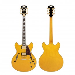 D'ANGELICO EXCEL DC AMBER