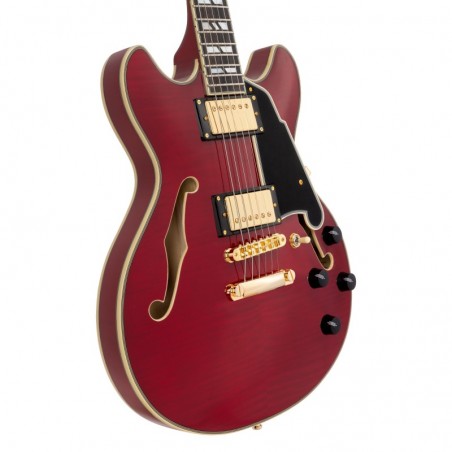 D'ANGELICO EXCEL MINI DC TRANS CHERRY 2025