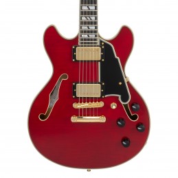 D'ANGELICO EXCEL MINI DC TRANS CHERRY 2025
