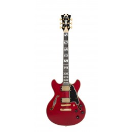 D'ANGELICO EXCEL MINI DC TRANS CHERRY 2025