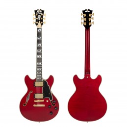 D'ANGELICO EXCEL MINI DC TRANS CHERRY 2025