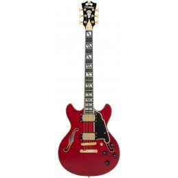 D'ANGELICO EXCEL MINI DC TRANS CHERRY 2025