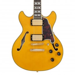 D'ANGELICO EXCEL MINI DC AMBER