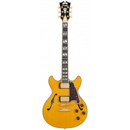 D'ANGELICO EXCEL MINI DC AMBER