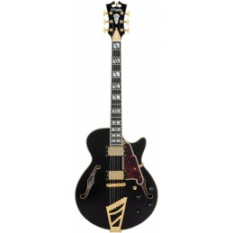 D'ANGELICO EXCEL SS SOLID BLACK 2025