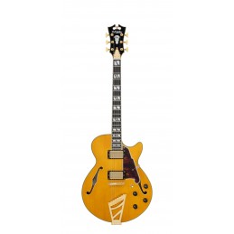 D'ANGELICO EXCEL SS AMBER