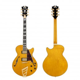 D'ANGELICO EXCEL SS AMBER