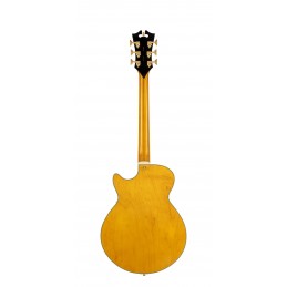 D'ANGELICO EXCEL SS AMBER