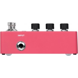 MOOER TENDER OCTAVER X2