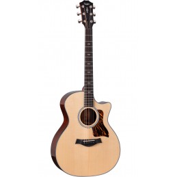 TAYLOR NEXT GENERATION 314ce