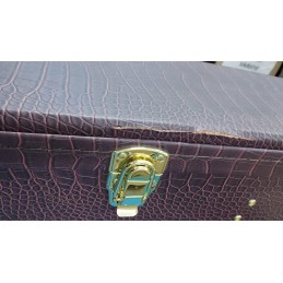 CORT LUXE II NAT W/CASE